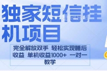 2025全新电脑挂机项目  操作简单，单机当天收益1000+，收益无上限，可…-臭虾米项目网