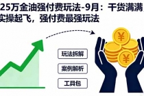 2025万金油强付费玩法-9月：干货满满，全程实操起飞，强付费最强玩法-臭虾米项目网