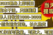 2025翻身上岸项目脚本干活，内部客户经理内部开号，单人日收益1000-300…-小白项目分享网