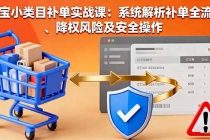 淘宝小类目补单实战课：系统解析补单全流程、降权风险及安全操作-臭虾米项目网