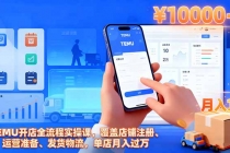 TEMU开店全流程实操课，覆盖店铺注册、运营准备、发货物流，单店月入过万-臭虾米项目网