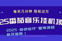 2025最新挂机番茄音乐项目，每天几分钟，日入1000＋-臭虾米项目网