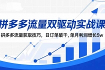 拼多多流量双驱动实战课:拼多多流量获取技巧,日订单破千,单月利润增长5w-臭虾米项目网