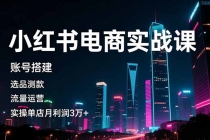 小红书电商实战课，账号搭建，选品测款，流量运营，实操月利润3万+-臭虾米项目网