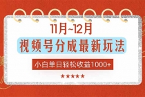 11月~12月视频号分成最新玩法，小白单日轻松收益1000+-臭虾米项目网
