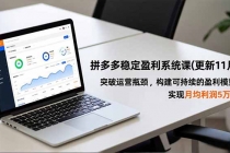 拼多多稳定盈利系统课(更新11月)，突破运营瓶颈，构建可持续的盈利模型，实现月均利润5万+-臭虾米项目网