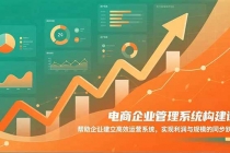 电商企业管理系统构建课：帮助企业建立高效运营系统，实现利润与规模的同步跃升-臭虾米项目网