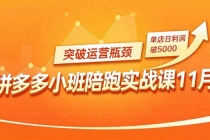 拼多多小班陪跑实战课11月，强付费矩阵、原价活动、暗券引流，突破运营瓶颈，单店日利润破5000-臭虾米项目网