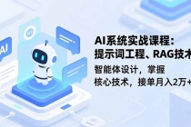 AI系统实战课程，提示词工程、RAG技术、智能体设计，掌握核心技术，接单月入2万+-臭虾米项目网