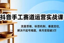 抖音手工赛道运营实战课，流量思维、标签机制、垂直定位，解决不起号难题，单月变现破3万-臭虾米项目网