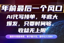 年前最后一个风口项目，轻松日入500+，小白轻松上手-臭虾米项目网