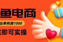 闲鱼高利润电商，当天上架当天出单，一单利润300-臭虾米项目网