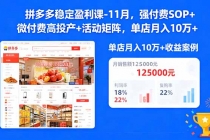 拼多多稳定盈利课-11月，强付费SOP+微付费高投产+活动矩阵，单店月入10w+-臭虾米项目网
