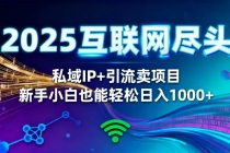 2025网创尽头王炸项目！私域 IP + 精准引流，新手小白在家躺赚日入 1000+-臭虾米项目网