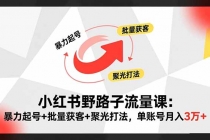小红书野路子流量课：暴力起号+批量获客+聚光打法，单账号月入3万+-臭虾米项目网