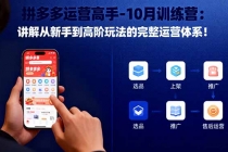 拼多多运营高手-10月训练营：讲解从新手到高阶玩法的完整运营体系！-臭虾米项目网