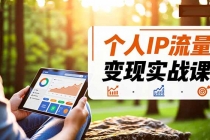 个人IP流量变现实战课，涵盖多平台引流、打造个人IP并实现稳定流量变现-臭虾米项目网
