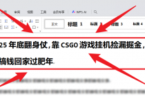 25年底翻身仗，靠CSGO游戏挂机捡漏掘金，搞钱回家过肥年-臭虾米项目网
