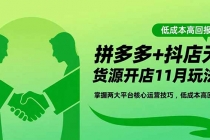 拼多多+抖店无货源开店11月玩法:掌握两大平台核心运营技巧,低成本高回报-臭虾米项目网