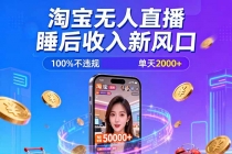 淘宝无人直播，不违规不封号，直播100小时卖了5万，年底旺季！-臭虾米项目网