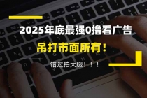 懒人福利！每天 20 分钟刷广告，动动手指轻松赚 100+，碎片时间就能做！-臭虾米项目网