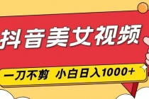 抖音美女视频，一刀不剪，两分钟一条视频，小白轻松上手，日入1000-臭虾米项目网