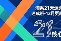 淘系21天运营速成班-12月更新，能够快速复制落地，系统掌握淘系盈利运营的核心技能-臭虾米项目网