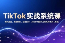 TikTok实战系统课，案例复盘、数据解析、运营执行，从0到1构建千万级电商体系（更新）-臭虾米项目网