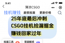 12月年底抓紧最后一个月，用CSGO游戏挂机捡漏掘金赚钱掘金，一部手机轻松日入500+-臭虾米项目网