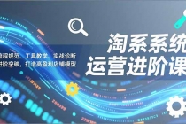淘系系统运营进阶课2.0,流程规范、工具教学、实战诊断,进阶突破,打造高盈利店铺模型-臭虾米项目网