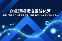 企业短视频流量转化营，构建“海陆空”立体流量矩阵，实现从0到1的破局与可持续增长-臭虾米项目网