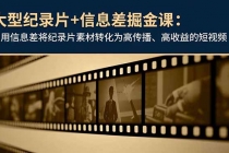 大型纪录片+信息差掘金课：利用信息差将纪录片素材转化为高传播、高收益的短视频-臭虾米项目网