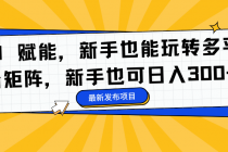 AI 赋能，新手也能玩转多平台矩阵，新手也可日入300+-臭虾米项目网