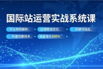 国际站实操运营系统课，平台规则解析、店铺精准定位、关键词选品，构建完整体系询盘增长300%-臭虾米项目网