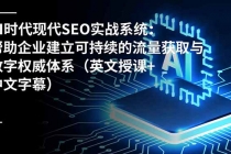 AI时代现代SEO实战系统:帮助企业建立可持续的流量获取与数字权威体系(英文授课+中文字幕)-臭虾米项目网