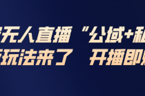 淘宝无人直播最新玩法，包含私域和公域两种玩法-臭虾米项目网