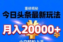 今日头条代运营最新玩法，轻轻松松月入20000＋-臭虾米项目网