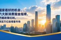 某付费文章：国家看好的机会，六大新消费掘金指南，把握政策红利，锁定万亿级增量市场-臭虾米项目网