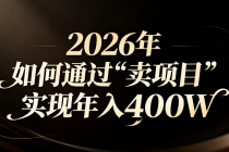 2026年如何通过“卖项目”实现年入百万-臭虾米项目网