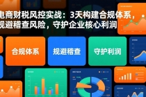 电商财税风控实战：3天构建合规体系，规避稽查风险，守护企业核心利润-臭虾米项目网