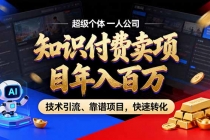 2026年卖项目年入百万，AI智能体个人IP-精准引流-稳定项目-转化成交-臭虾米项目网