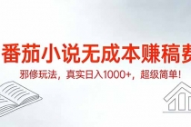 番茄小说无成本赚稿费邪修玩法,真实日入1000+,超级简单!-臭虾米项目网