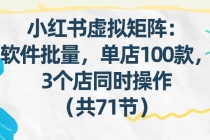 小红书虚拟矩阵:软件批量发笔记,单店100款,3个店同时操作(共71节)-臭虾米项目网