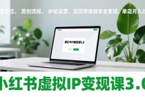 小红书虚拟IP变现课3.0，赛道定位、原创流程、IP化运营，实现零违规安全变现，单店月入过万-臭虾米项目网