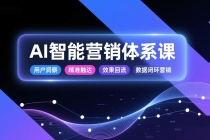 AI智能营销体系课，从用户洞察、精准触达到效果回流的数据闭环营销，提升整体营销效率与转化率-臭虾米项目网