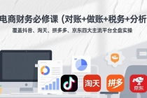 电商财务必修课(对账+做账+税务+分析)覆盖抖音、淘天、拼多多、京东四大主流平台全盘实操-臭虾米项目网