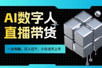 AI数字人直播带货风口已来,一台电脑在家日入过千,小白当天上手的赚钱技能-臭虾米项目网