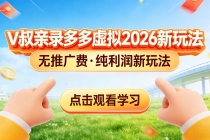 0 成本起步！拼多多虚拟电商新玩法，V 叔带你日入三张-臭虾米项目网