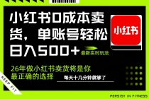 小红书0成本AI卖货，单账号轻松日入500+，完全托管AI，可矩阵放大-臭虾米项目网