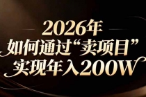 站在2026年的十字路口：一个普通人如何通过卖项目实现年入200万-臭虾米项目网